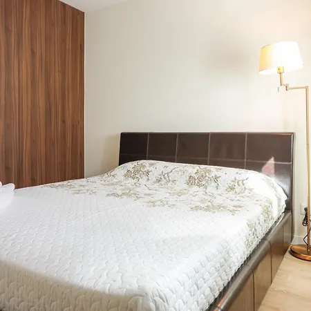 Avelino Carolino Ll Com Roteiro Incluido シャレー