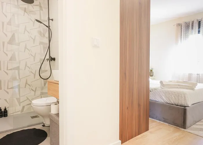 Avelino Carolino Ll Com Roteiro Incluído *